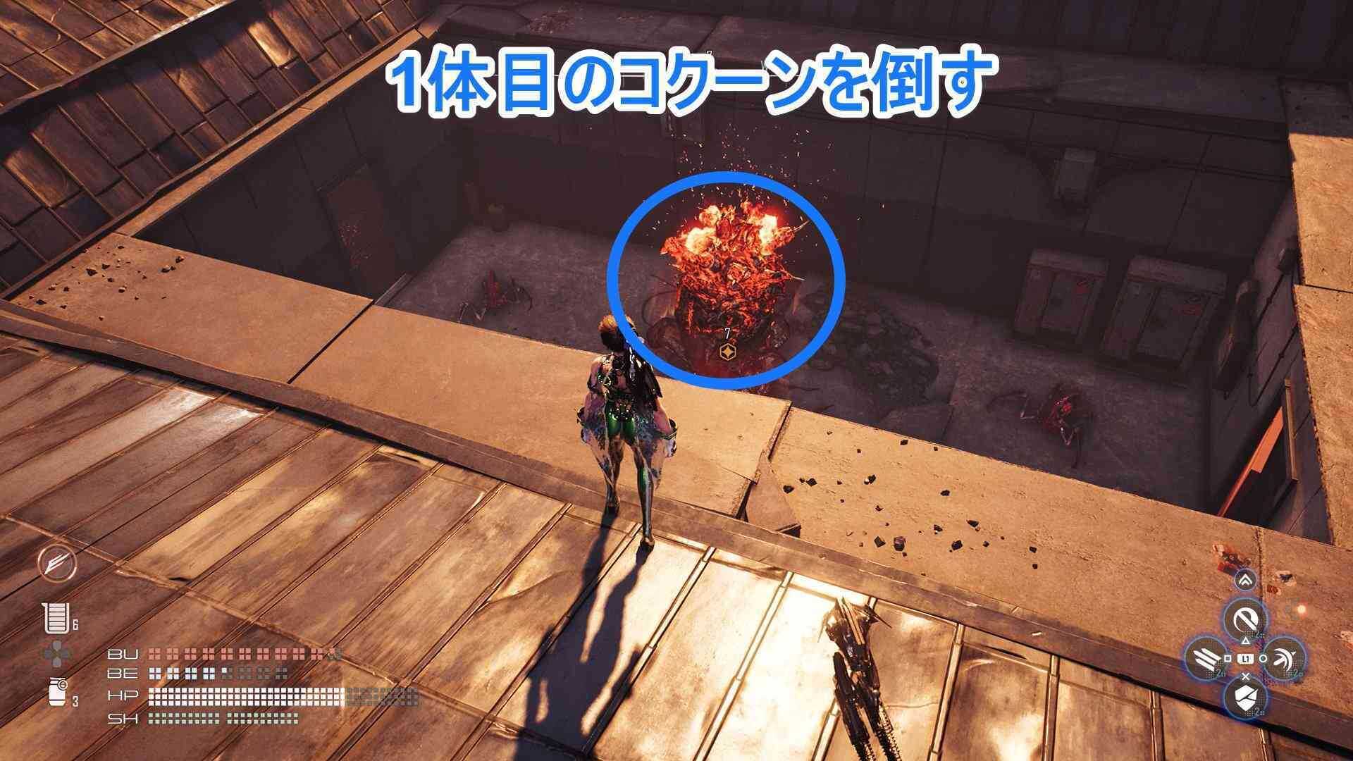 1体目のコクーンの画像