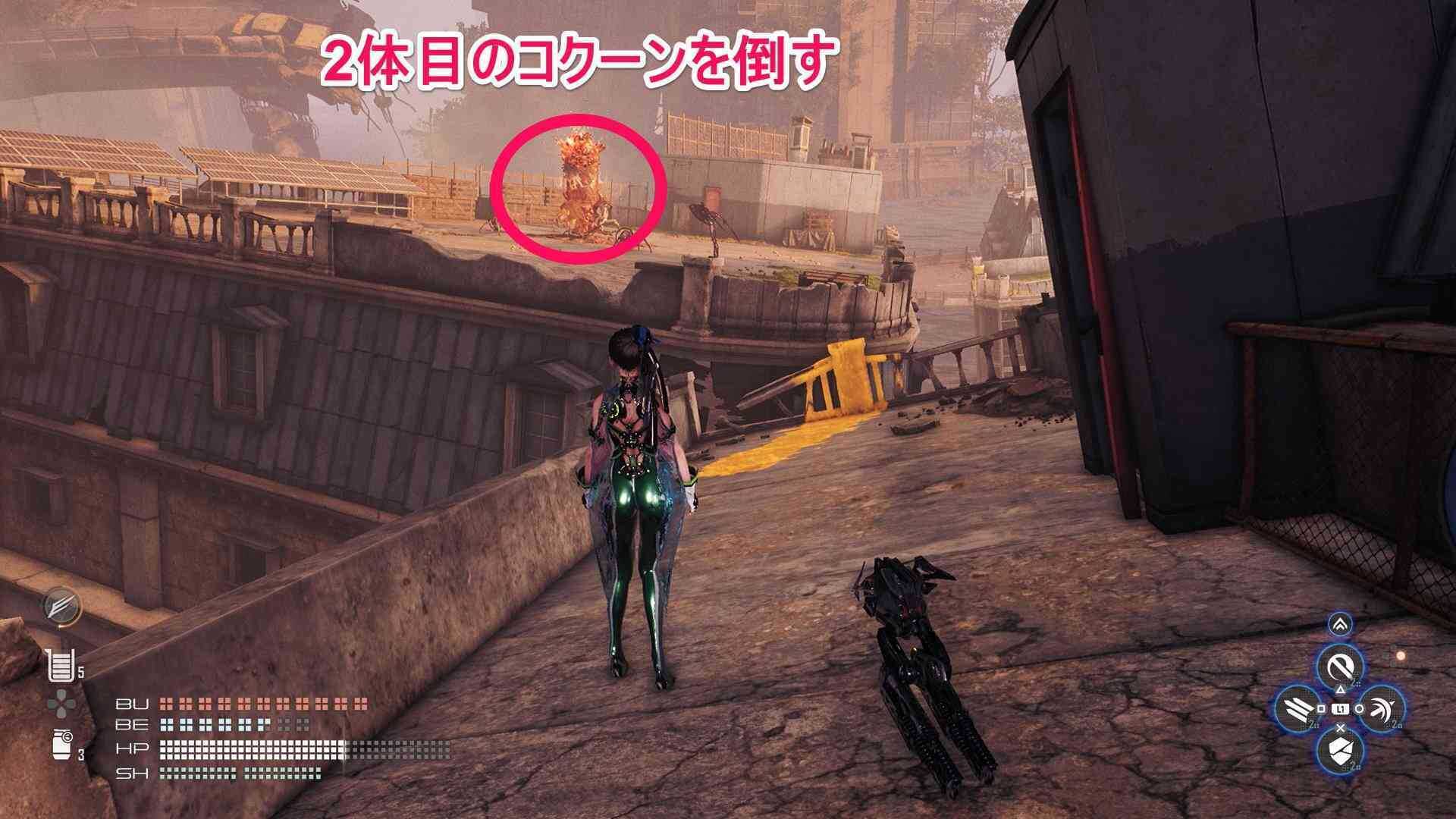 2体目のコクーンの画像