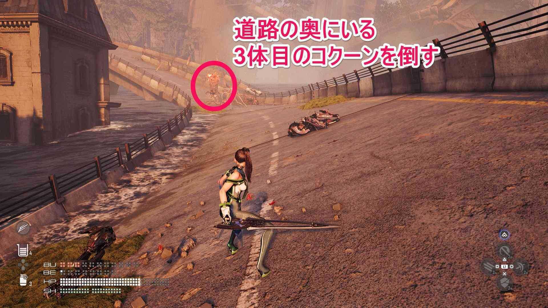 3体目のコクーンの画像