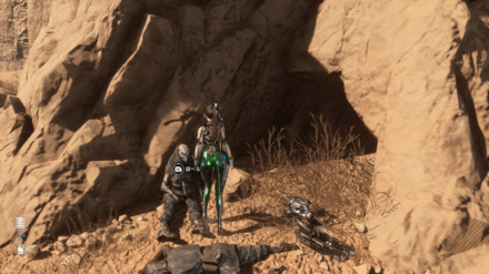 アマンダの記憶