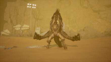 大砂漠のストーカー