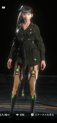 スカイエース画像