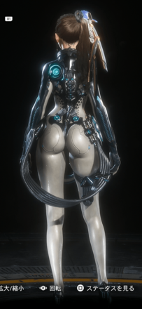 後ろ姿の見た目