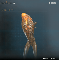 クリケットブーマー画像