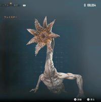 ウェイスター画像