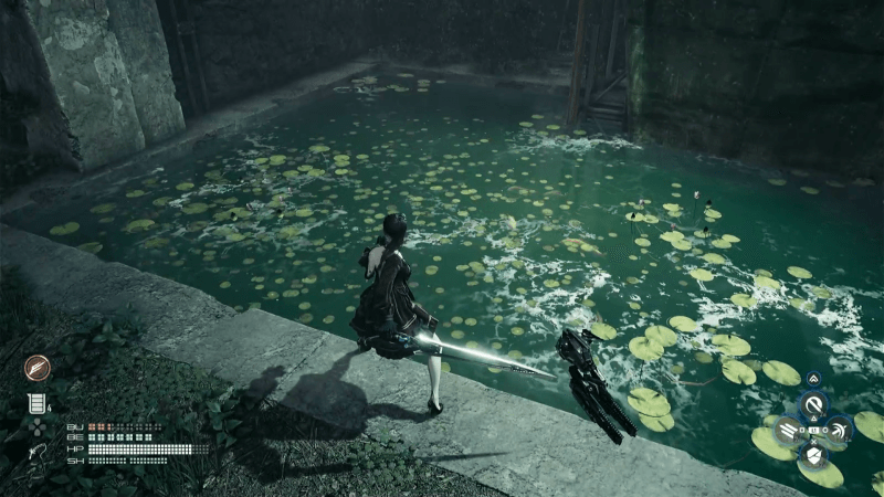 時計台付近の水たまりで釣り