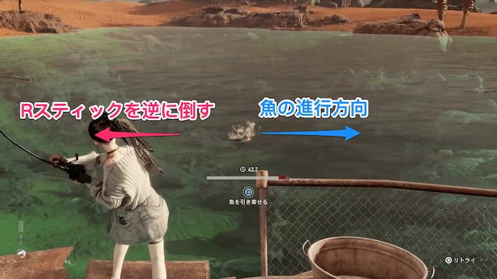 魚を引き寄せる