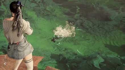 魚を引き上げる