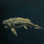 ダンクレオステウス画像