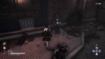 バランの見た目