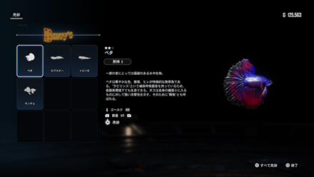 stellar blade - stellar blade_2024-04-29_17-09-59