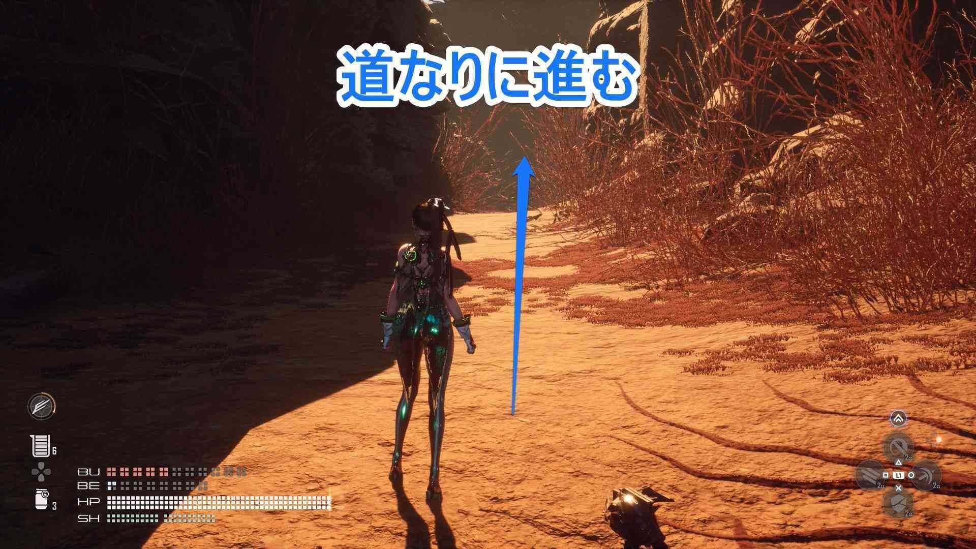 最後の欠片で道なりに進む場所の画像