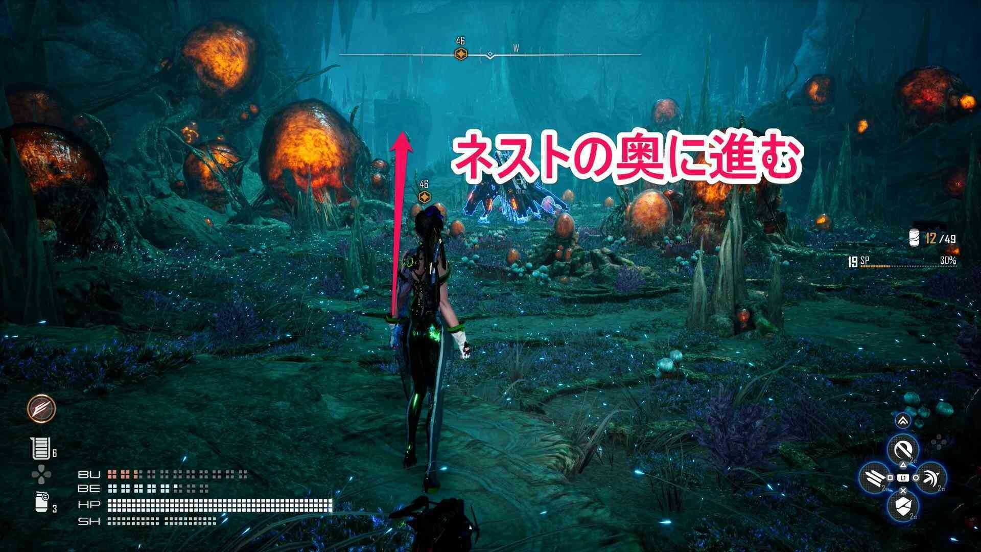 ネストの奥に進む画像