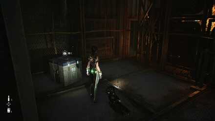 ニューファンドランド・ドライ