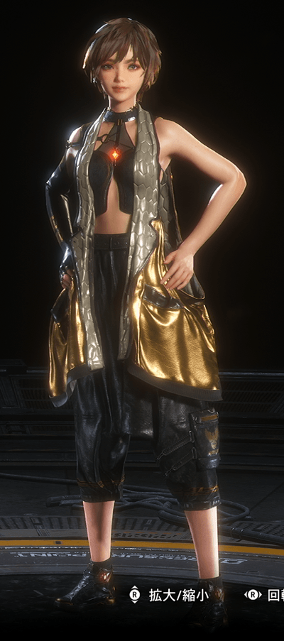 スターゲイザーコート画像