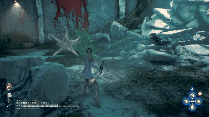 ヒドラの出現場所