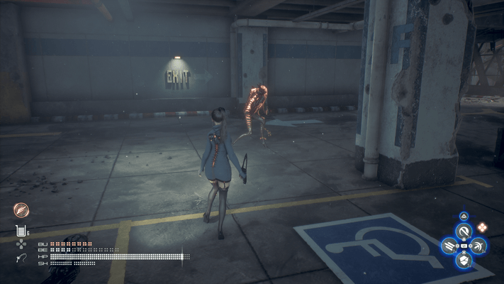 クリケットブーマーの出現場所