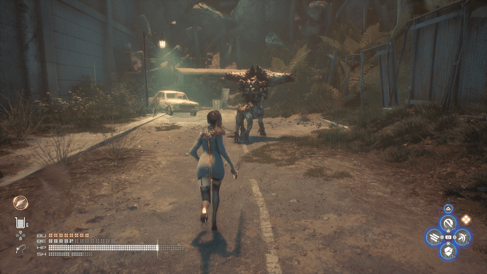 ドーザーの出現場所