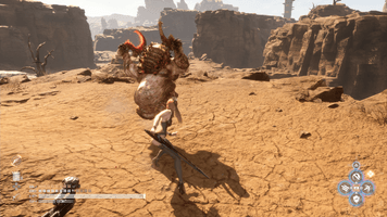 ヘッジボアの出現場所