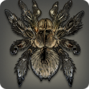 タランチュラの画像