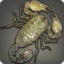 ホワイトスコーピオンの画像