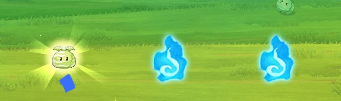 キャベツ入手方法