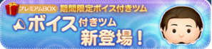 フリンライダー曲のみ期間限定の画像