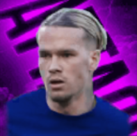 HPミハイロムドリク(05/06)画像